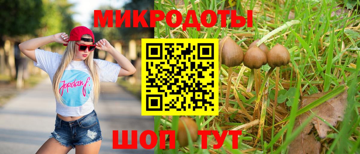 Великий Новгород  Галлюциногенные грибы ЛСД  Вход с VPN  Псилоцибиновые грибы мухоморы 
