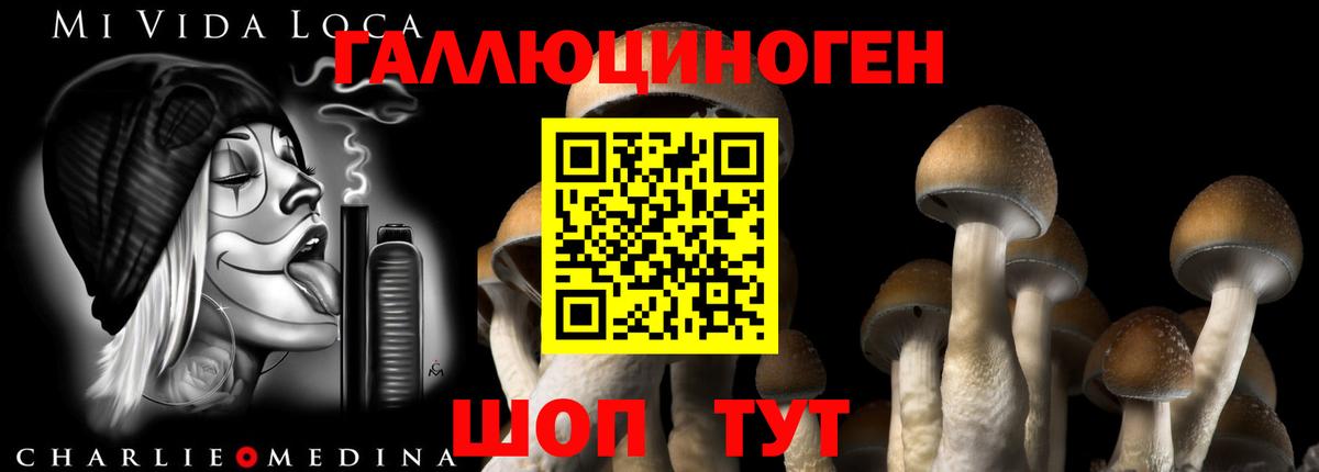 Галлюциногенные грибы GOLDEN TEACHER Великий Новгород